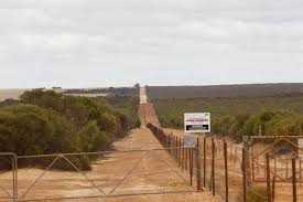 Rabbit proof fence